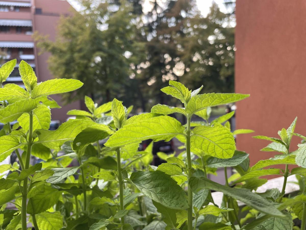 120 Mq Vicino A Banca Mediolanum E Ospedale Humanitas Lägenhet Basiglio Exteriör bild